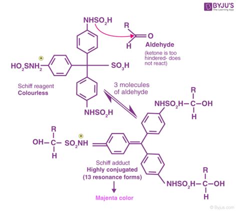 schiff's reagent.
